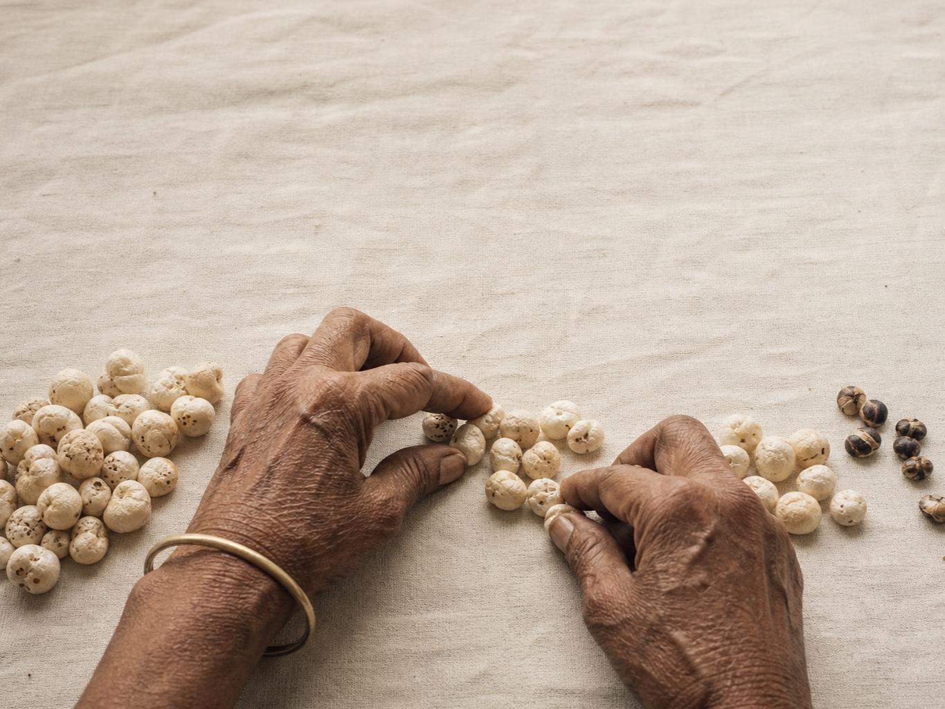 Weathered hands sorting popped makhana by size on cream cloth, with unpopped seeds set aside
